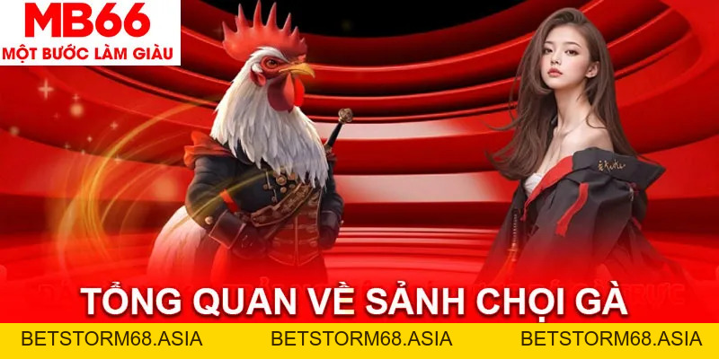 Đá Gà MB66 - Bùng Nổ Cảm Xúc Với Các Trận Chiến Kinh Điển