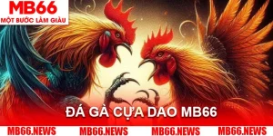 MB66 - betstorm68.asia - Nhà Cái MB66.COM - Truy Cập Mobile 2026