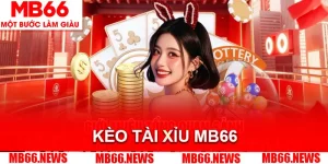 Blog Cá Cược MB66 - Nơi Cung Cấp Những Thông Tin Mới Nhất