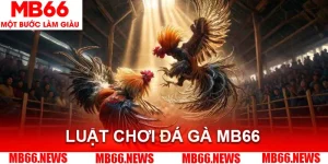 MB66 - betstorm68.asia - Nhà Cái MB66.COM - Truy Cập Mobile 2026