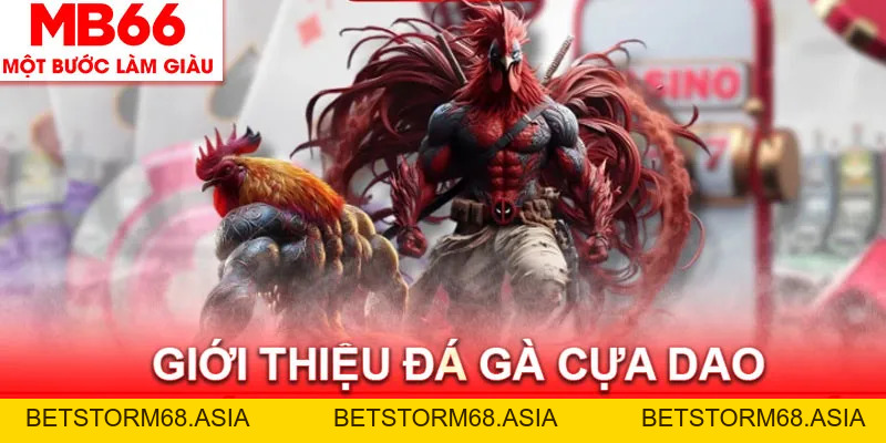 Đá Gà Cựa Dao MB66 - Hình Thức Giải Trí Hồi Hộp Và Đẫm Máu
